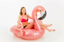 Rose Gold Flamingo -Life Is Better At The Pool 15505001 WithModel 36