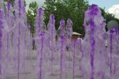 Aqua Couleur Waterkleurstof 1L 15 Aqua Couleur Waterkleurstof 1L -Life Is Better At The Pool Aqua Couleur paars fontein