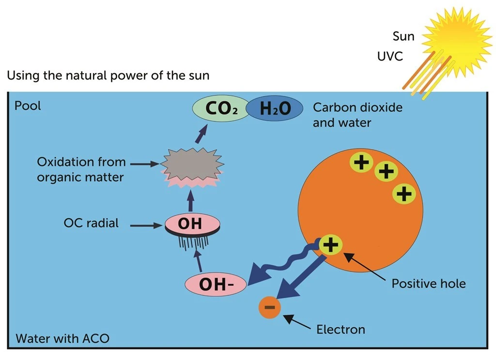 DA-GEN ACO Stabilisator 2 DA-GEN ACO Stabilisator - Afbeelding 2