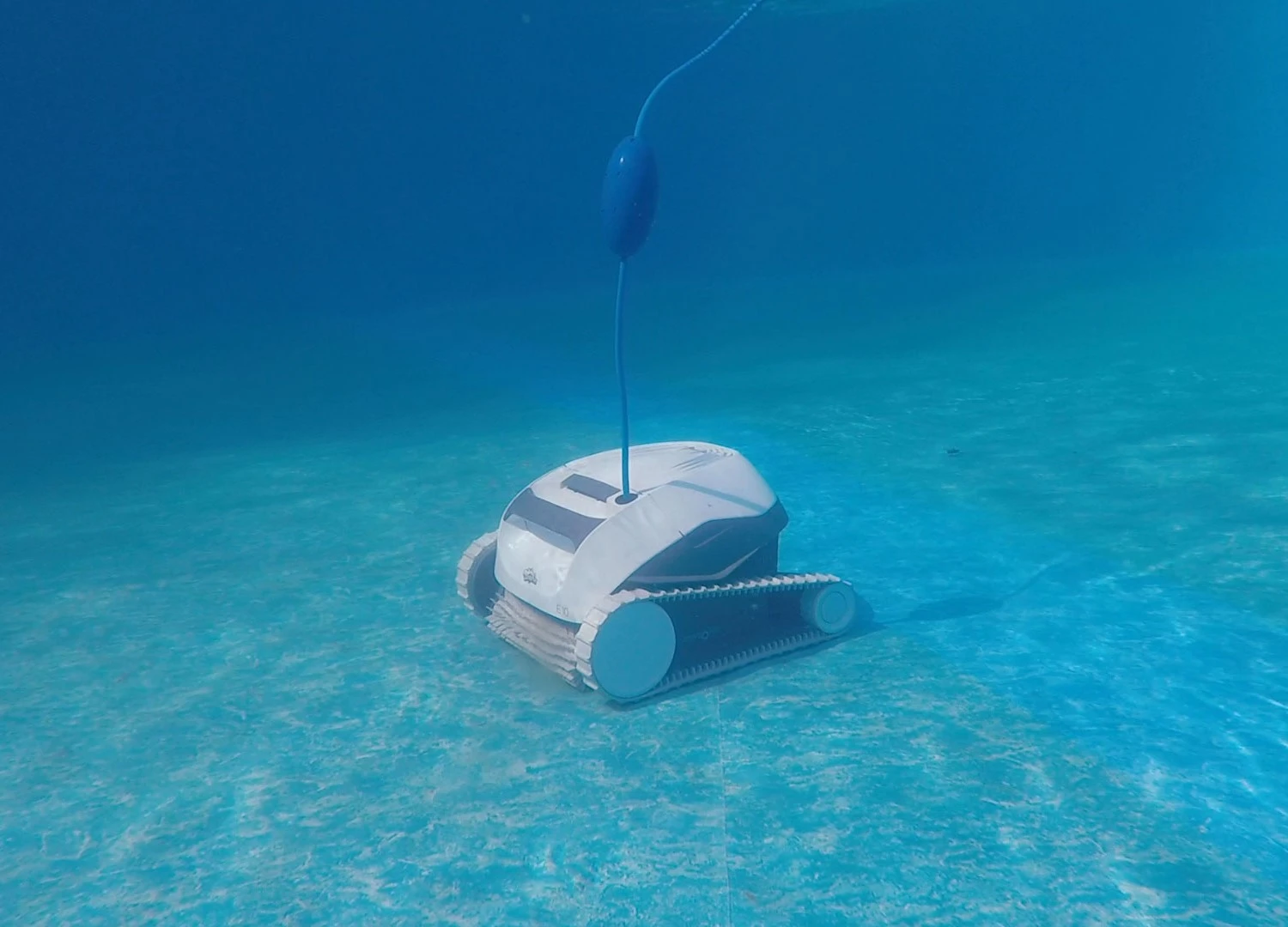 Dolphin E10 Zwembadrobot 2 Dolphin E10 Zwembadrobot - Afbeelding 2