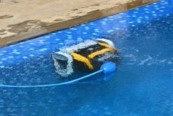 Dolphin E20 Zwembadrobot 14 Dolphin E20 Zwembadrobot -Life Is Better At The Pool Dolphin E20 klimt scaled 1