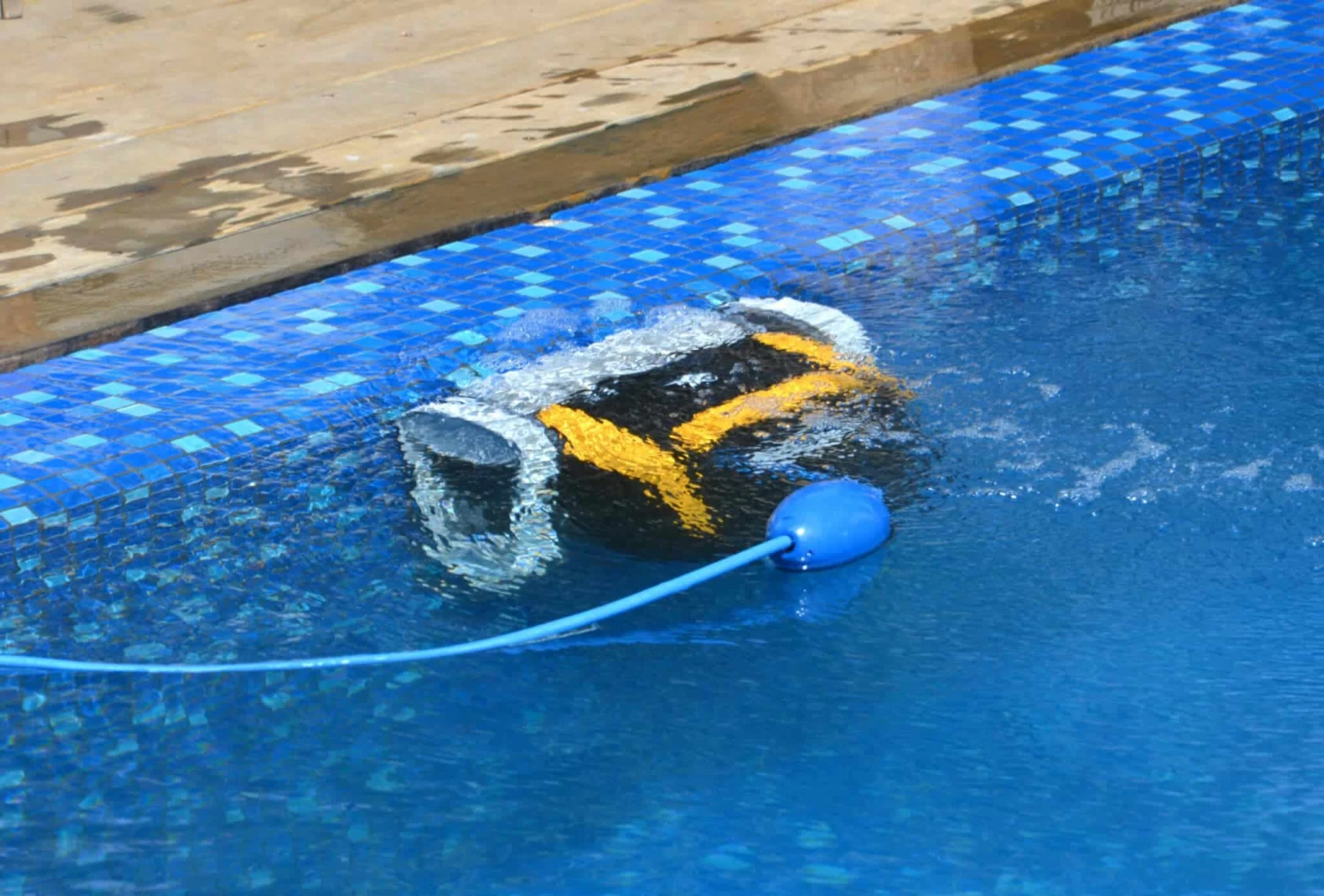 Dolphin E20 Zwembadrobot 4 Dolphin E20 Zwembadrobot - Afbeelding 4