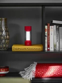 Fatboy Tjoepke 20 Fatboy Tjoepke -Life Is Better At The Pool FATBOY Bakkes Photography Vught UnitedStudios18 scaled scaled 1