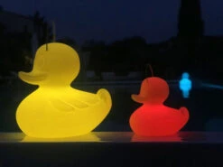 The DUCK DUCK S Lamp -Life Is Better At The Pool Goodnight duck duck 1