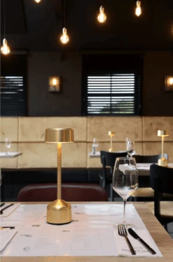 Imagilights Demoiselle Tall LED Tafellamp 17 Imagilights Demoiselle Tall LED Tafellamp -Life Is Better At The Pool Imagilights Demoiselle Tall LED tafellamp 02