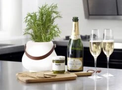 Luxx Bloempot LED Met Luidspreker 9 Luxx Bloempot LED Met Luidspreker -Life Is Better At The Pool Led lantaarn 03