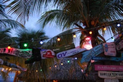 Bailey Prikkabel LED Slinger Lamp Kleur 1W BOX 5st 6 Bailey Prikkabel LED Slinger Lamp Kleur 1W BOX 5st -Life Is Better At The Pool Prikkabel LED slinger 09 1