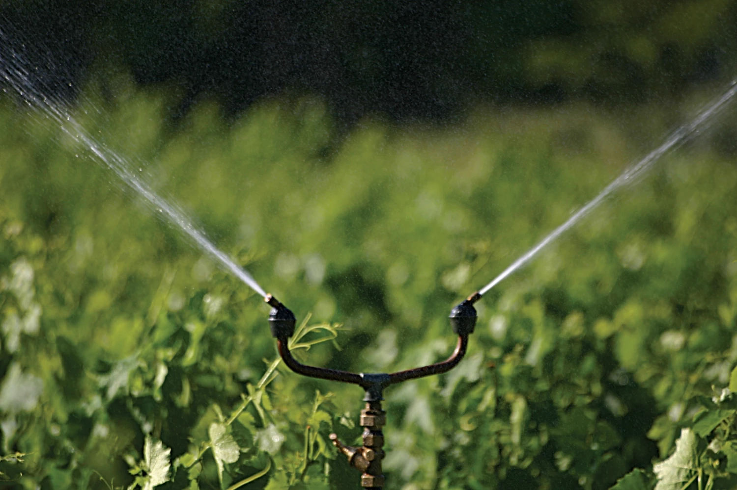 Propeler Tuinsproeier 11 Propeler Tuinsproeier - Afbeelding 11