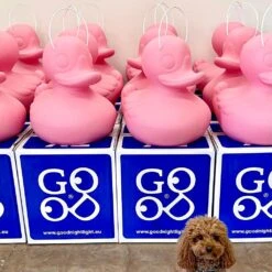 The DUCK DUCK S Lamp -Life Is Better At The Pool The Duck Duck Lamp Pink Edition 7