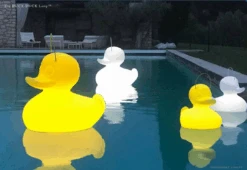 The DUCK DUCK S Lamp -Life Is Better At The Pool The duck duck xl 1