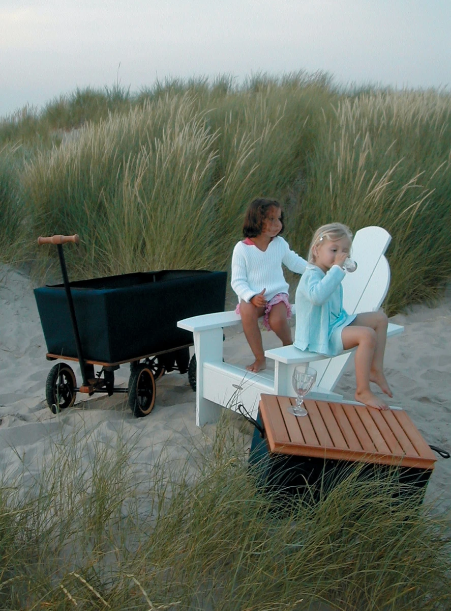 Wagon Tuinwagen 8 Wagon Tuinwagen - Afbeelding 8