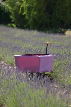 Wagon Tuinwagen 15 Wagon Tuinwagen -Life Is Better At The Pool Tradewinds wagon 13