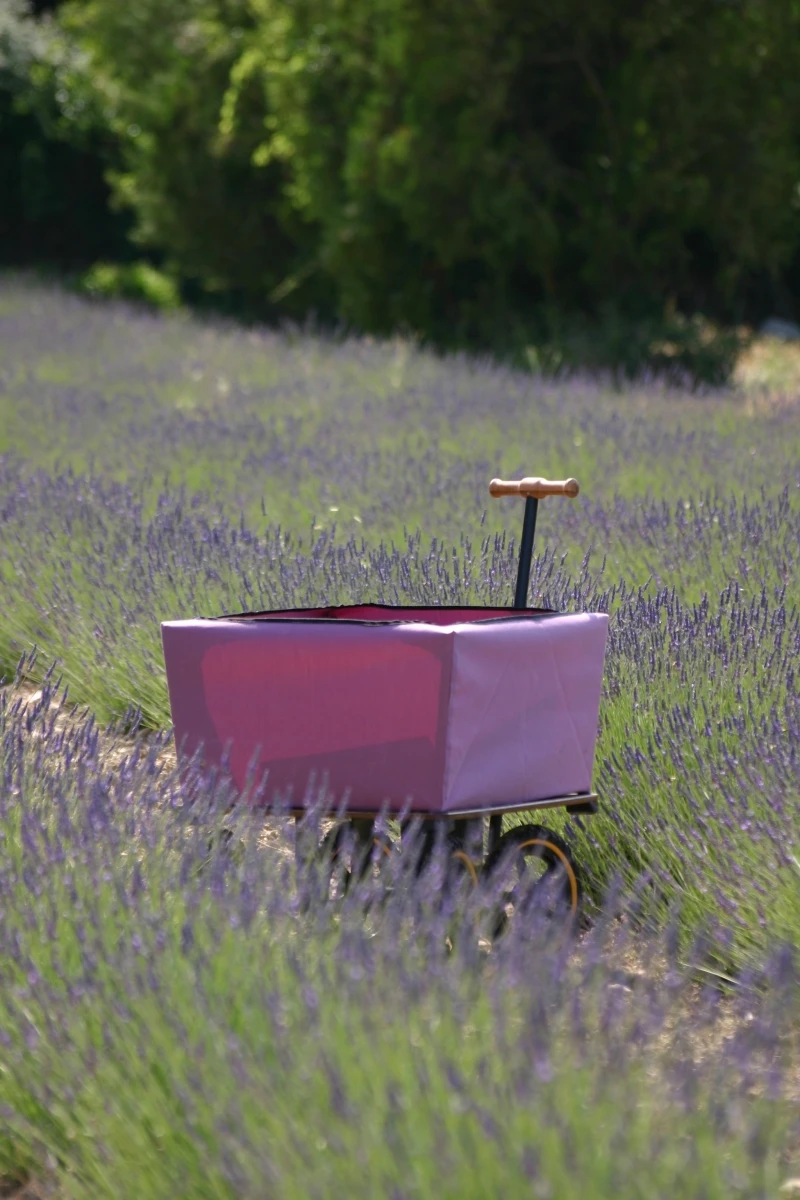 Wagon Tuinwagen 5 Wagon Tuinwagen - Afbeelding 5