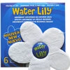 Waterlily