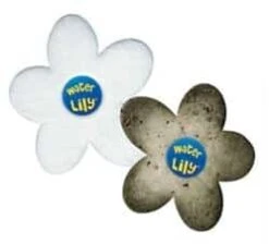 Waterlily 8 Waterlily -Life Is Better At The Pool WATERLILY 2