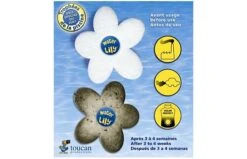 Waterlily 9 Waterlily -Life Is Better At The Pool WATERLILY 3