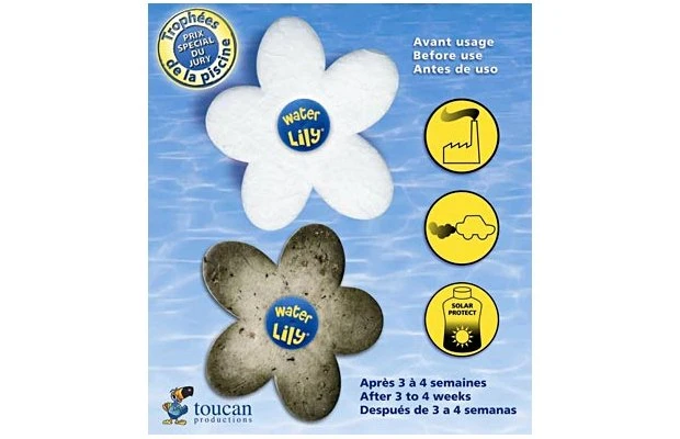 Waterlily 4 Waterlily - Afbeelding 4