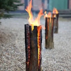 Boomstam Fakkel -Life Is Better At The Pool Zweedse fakkel lang