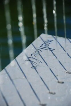 Wellwell -Life Is Better At The Pool wellwell2 scaled scaled 1